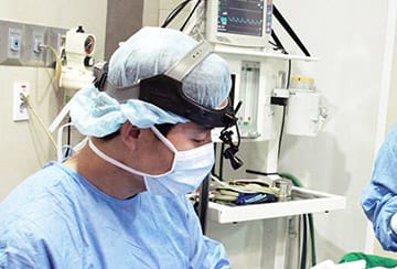 당일 검진 및 시술, 수술 가능